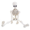 Movable Mr. Bones Skeleton Human Model Skull Full Body Mini Figure Toy Halloween