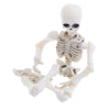 Movable Mr. Bones Skeleton Human Model Skull Full Body Mini Figure Toy Halloween