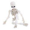 Movable Mr. Bones Skeleton Human Model Skull Full Body Mini Figure Toy Halloween